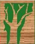Vermont WoodNet Logo