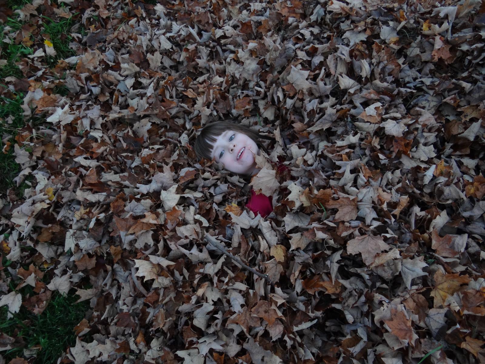 kid in leaves