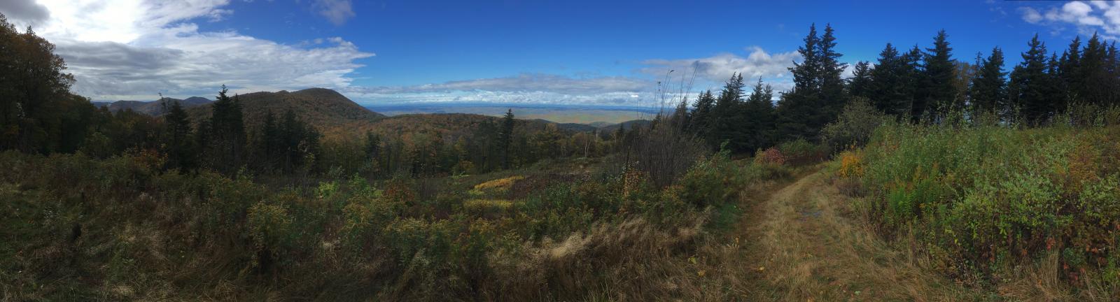 A shrubby clearing with a path through it, with a backdrop of forested hills.