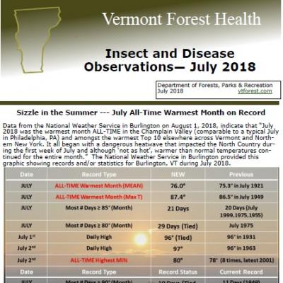 july forest health observations