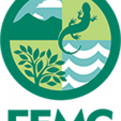 femc logo