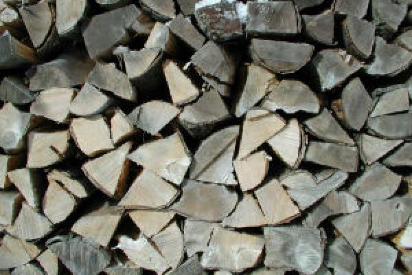 pile of firewood