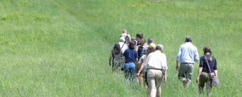 group walks through field