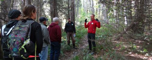 Calais town forest walk