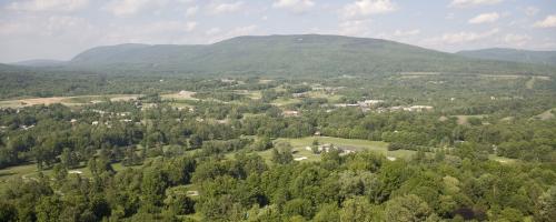 aerial photo of treetops