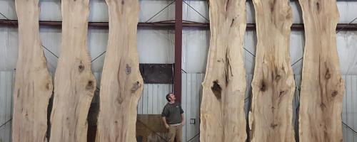 wood slabs rest against wall