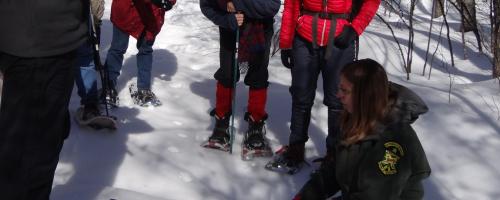 group examines snow