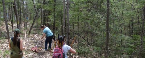 walking on trail through woods