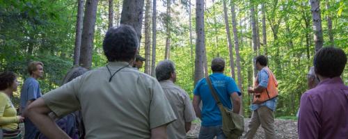 group learning about woods