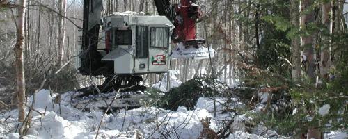 equipment in woods