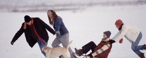 pulling sled